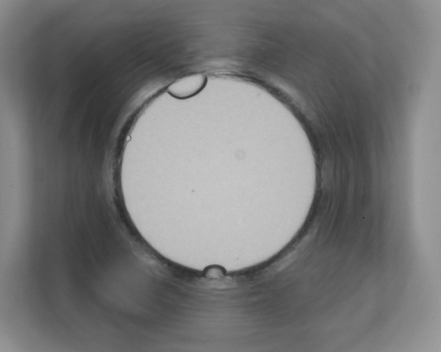 X0000111131410200908111030