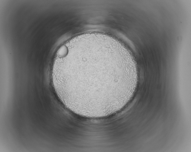 X0000111131411200908111030