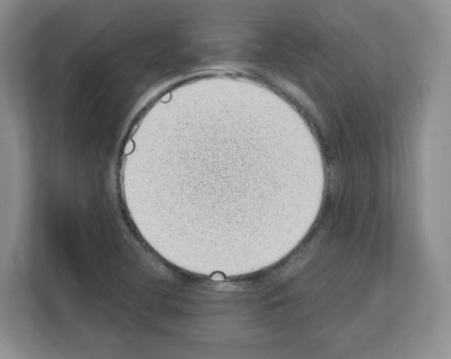 X0000111131412200908111030