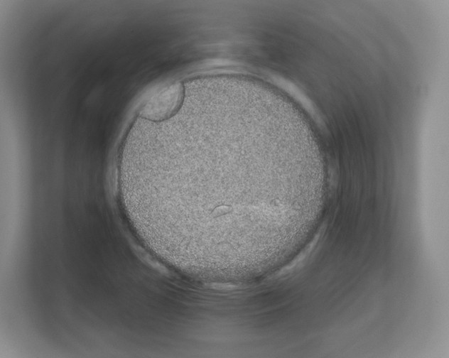X0000111131413200908111030