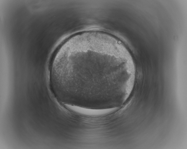 X0000111131414200908111030