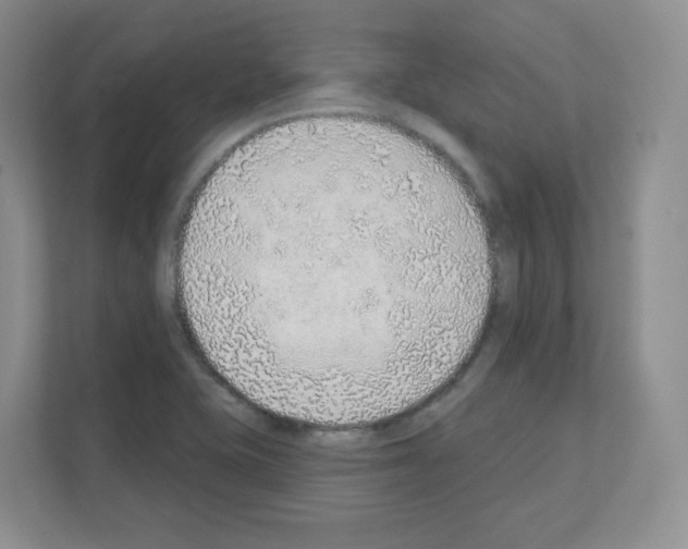 X0000111131415200908111030