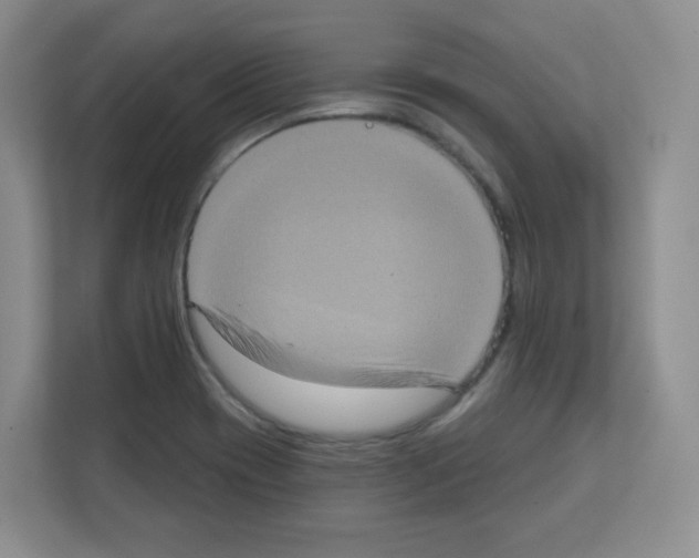 X0000111131417200908111030