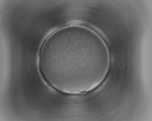 X0000111131418200908111030