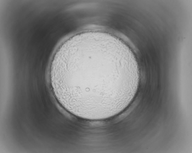 X0000111131421200908111030