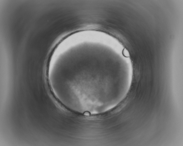 X0000111131422200908111030