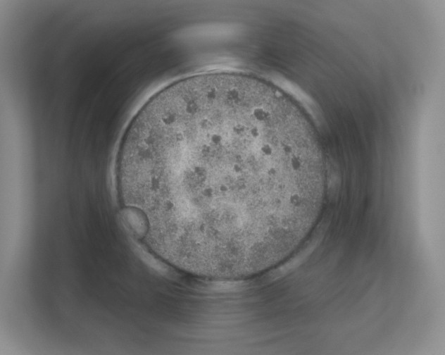 X0000111131423200908111030