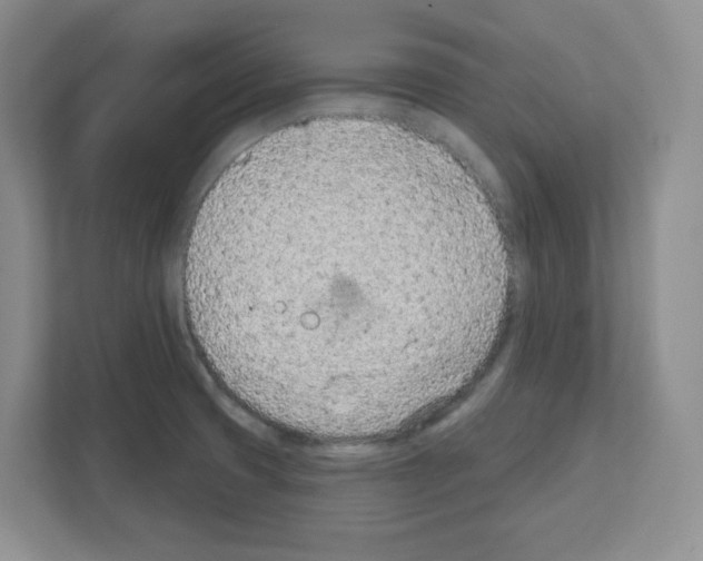 X0000111131425200908111030
