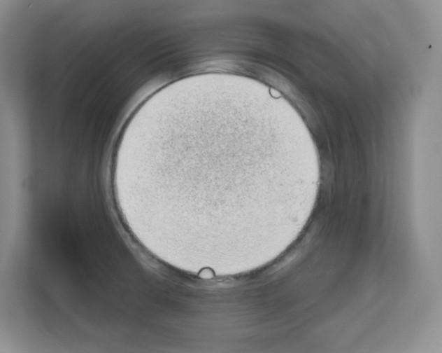 X0000111131426200908111030