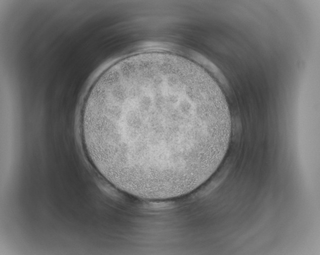 X0000111131427200908111030