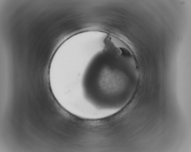 X0000111131428200908111030
