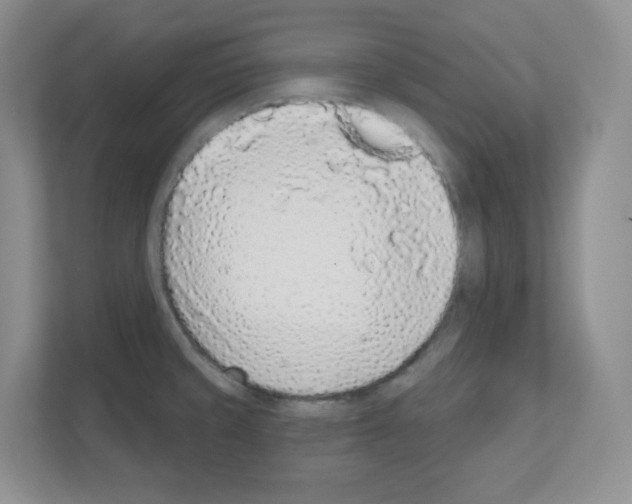 X0000111131429200908111030