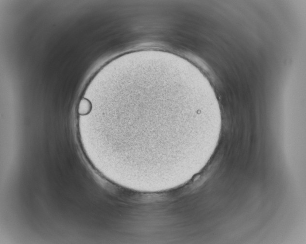 X0000111131430200908111030