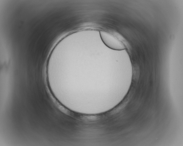 X0000111131431200908111030