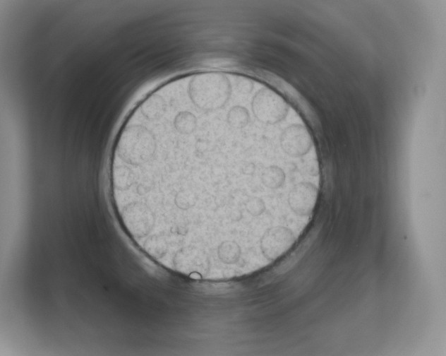X0000111131432200908111030