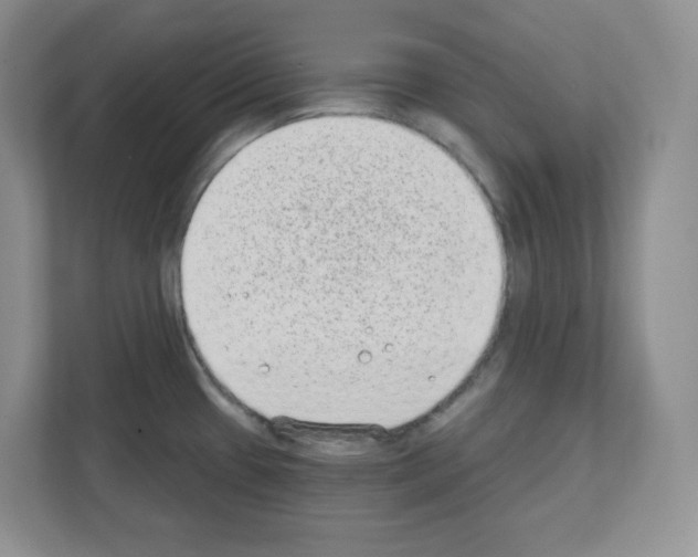 X0000111131433200908111030