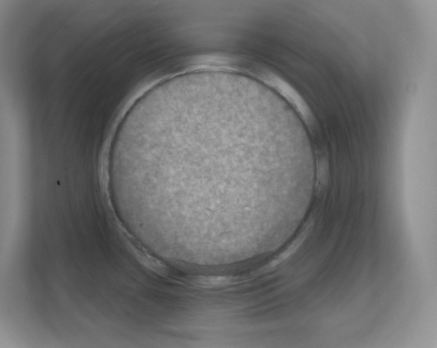 X0000111131435200908111030