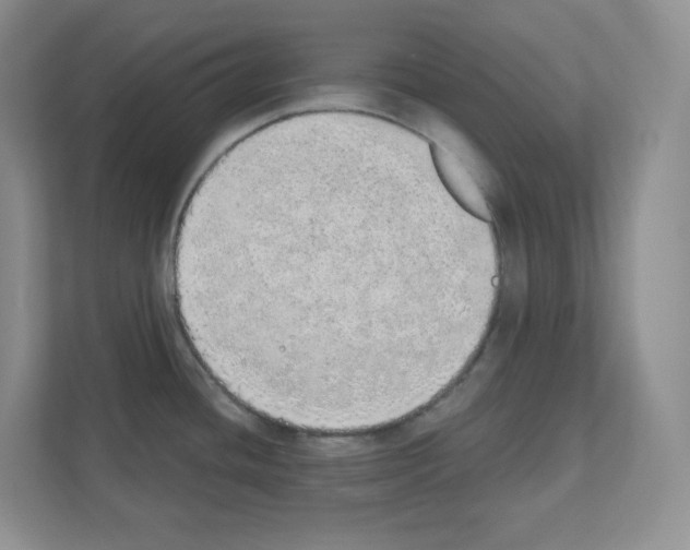 X0000111131436200908111030