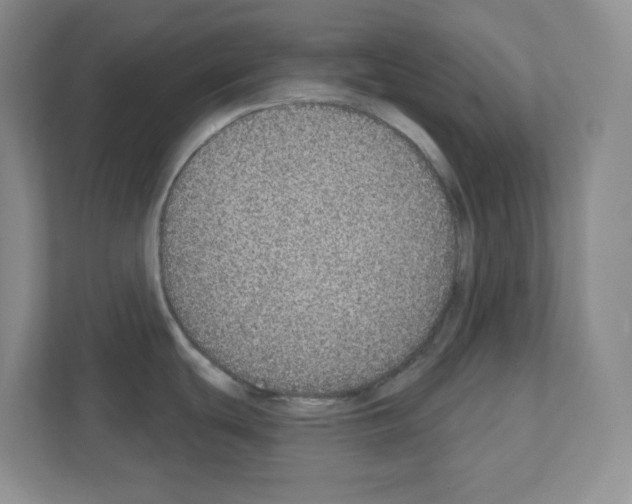 X0000111131439200908111030