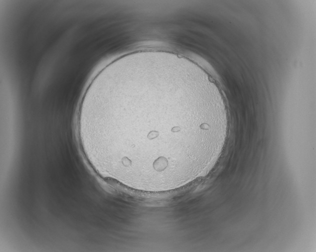 X0000111131440200908111030
