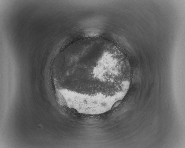 X0000111131441200908111029