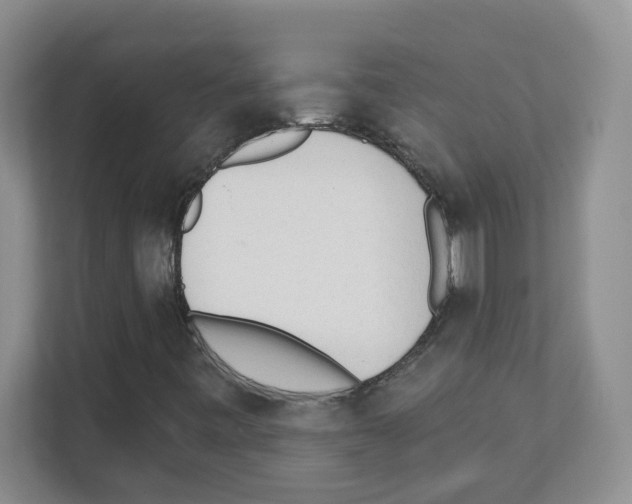 X0000111131443200908111029