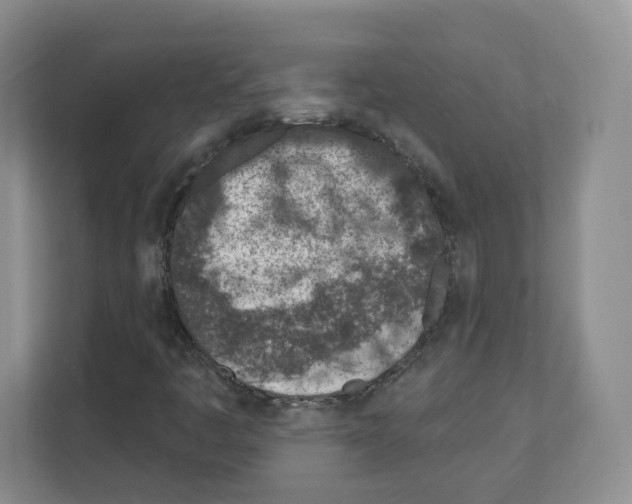 X0000111131445200908111029