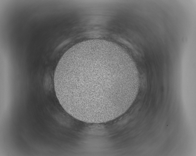 X0000111131446200908111029