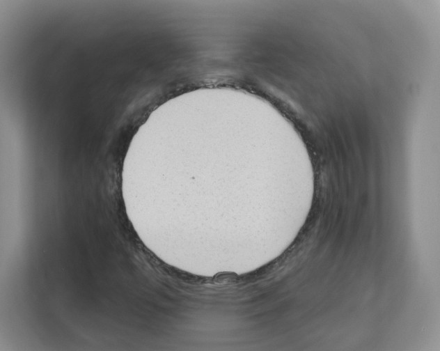 X0000111131447200908111029