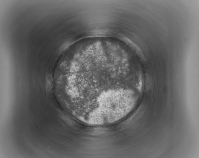 X0000111131449200908111029