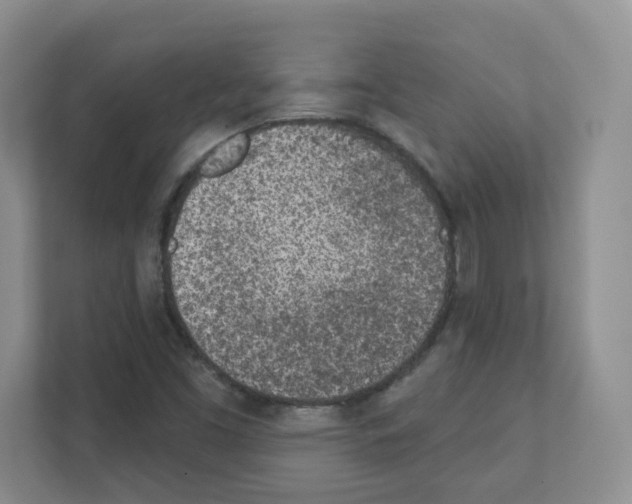 X0000111131453200908111029