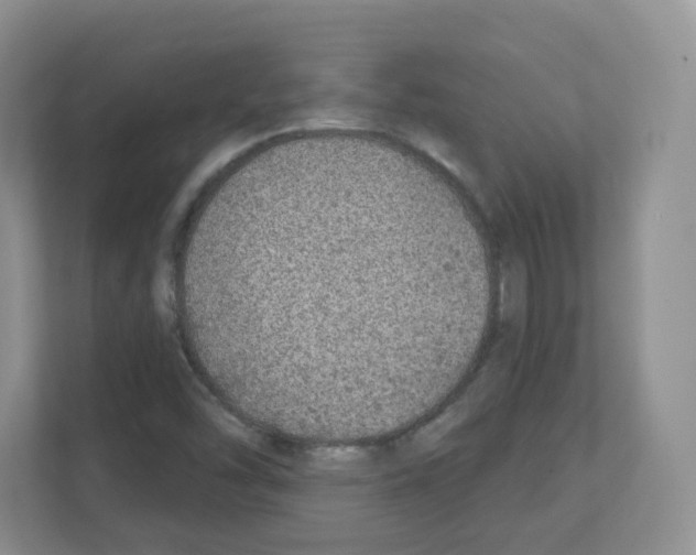 X0000111131454200908111029