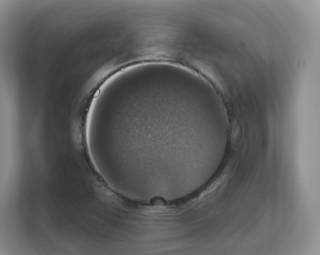 X0000111131455200908111029