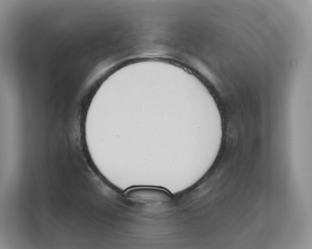 X0000111131456200908111029