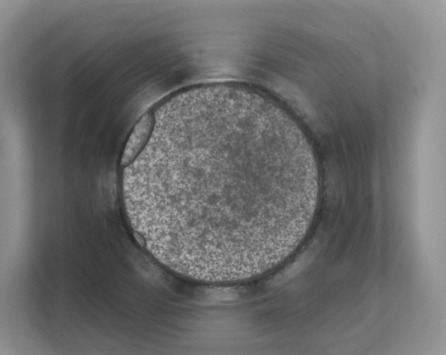 X0000111131457200908111029