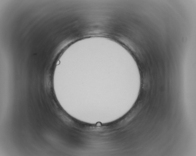 X0000111131458200908111029