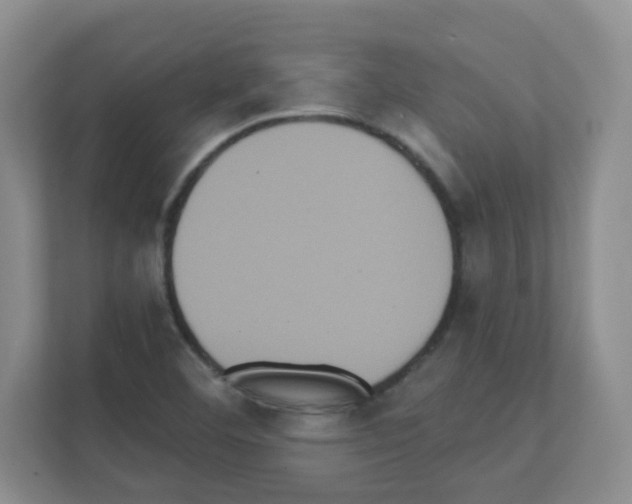X0000111131460200908111029