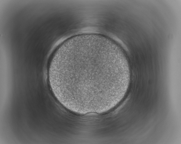 X0000111131461200908111029