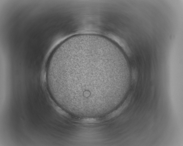 X0000111131462200908111029