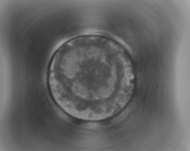 X0000111131463200908111029