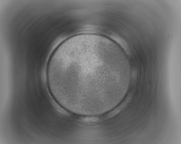 X0000111131466200908111029