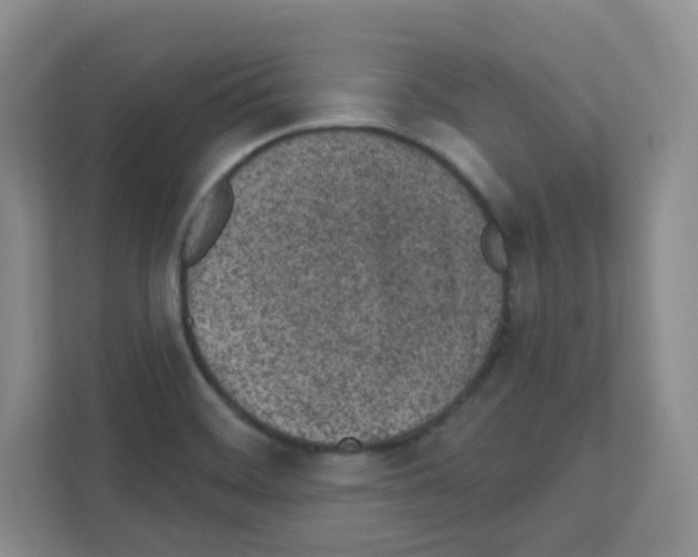 X0000111131468200908111029