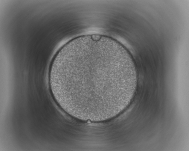 X0000111131469200908111029