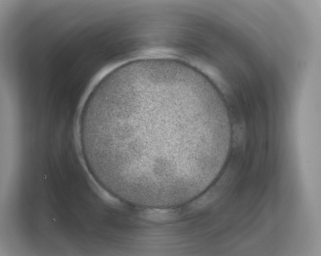 X0000111131470200908111029