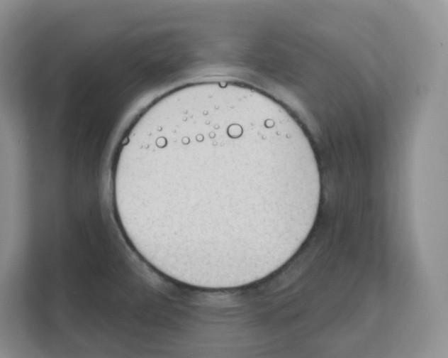 X0000111131472200908111029