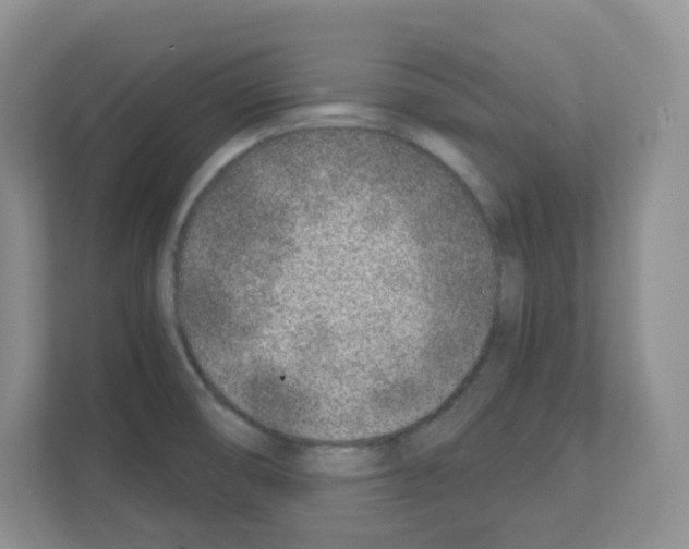 X0000111131474200908111029
