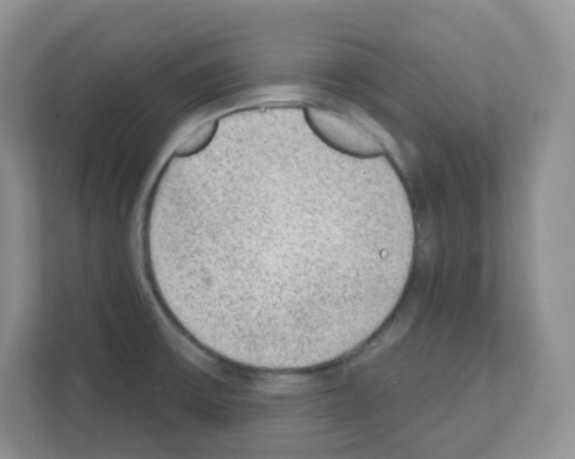 X0000111131475200908111029