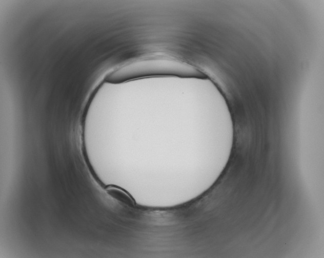 X0000111131476200908111029