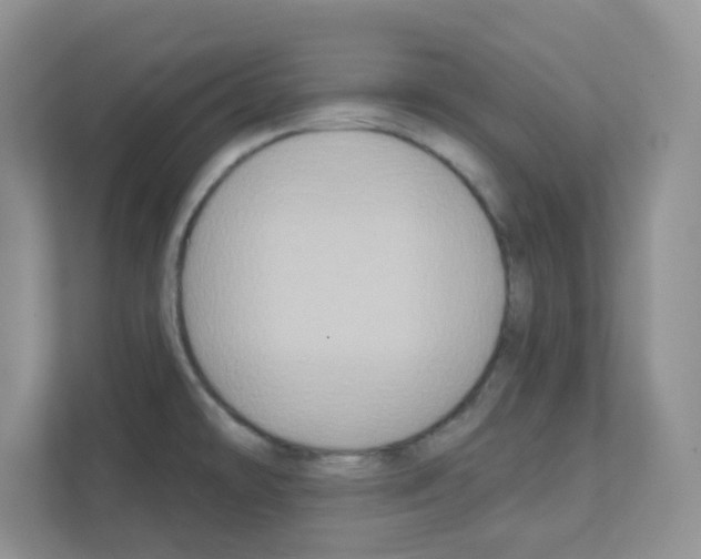 X0000111131478200908111029