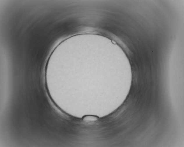 X0000111131479200908111029